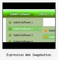 Important Shapes Into Expression Web Make A Submenu In Expression Blend