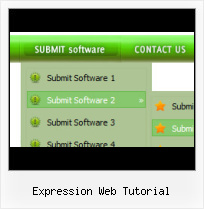 Frontpage 2003 Rollover Expression Web Forms Save Button Click
