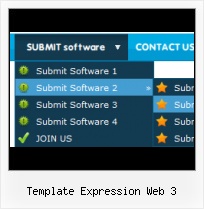 Expression Design Glass Button Expression Roll Over States