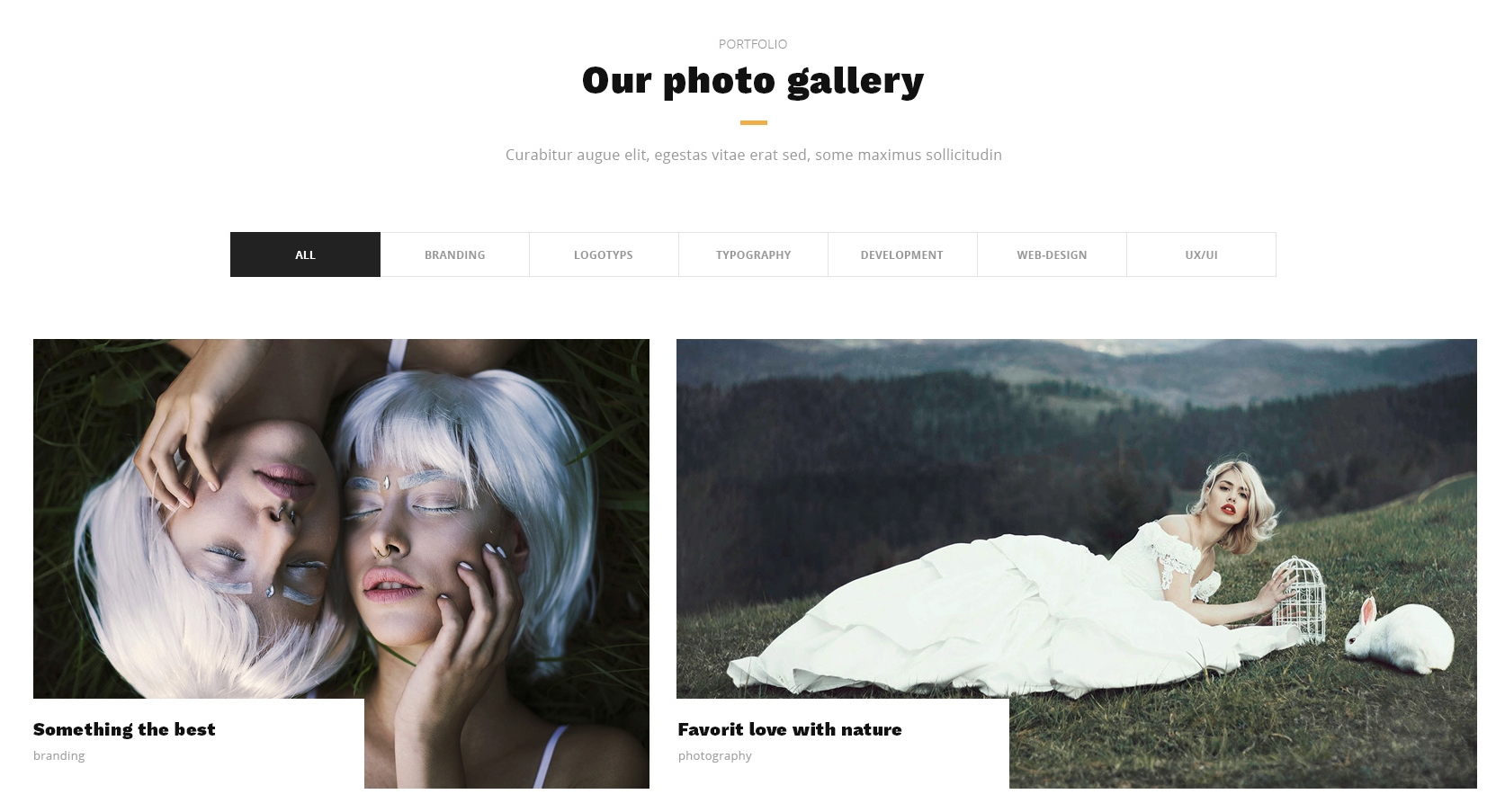 CSS3 Bootstrap Portfolio Theme