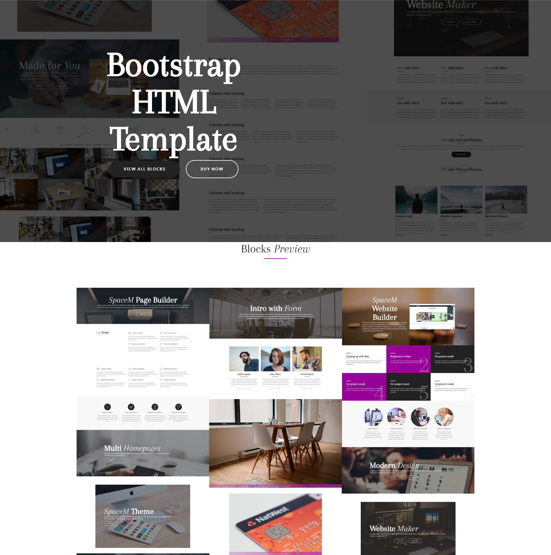 HTML Bootstrap SpaceM Themes
