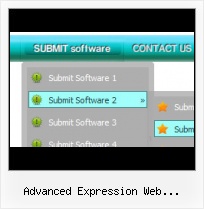 Expression Web 3 Tutorial Button Functions Sub Menu Expression