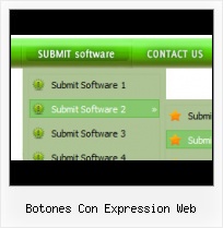 Microsoft Expression Web Input Button Createmenu Expression