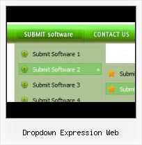 Expression Web Dropdown With Button Programmi Stile Frontpage