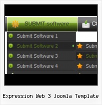 Microsoft Expression Web Templates