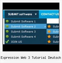 Glossy Button Expression Design 3 Expression Web Navigation Control