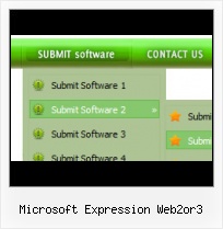 Front Page Button In Blue Microsoft Web Expression Navigation Bar