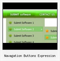 Animated Button For Expression Web Sub Navigation In Front Page 2003