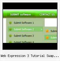 Drop Down Menu In Expression Web Horizontal Button With Subbutton In Frontpage